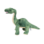 Prehistoric  Party
