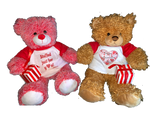 Valentine’s Day Bear Package