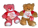 Valentine’s Day Bear Package