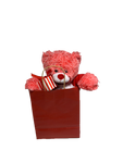 Valentine’s Day Bear Package