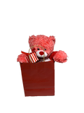 Valentine’s Day Bear Package